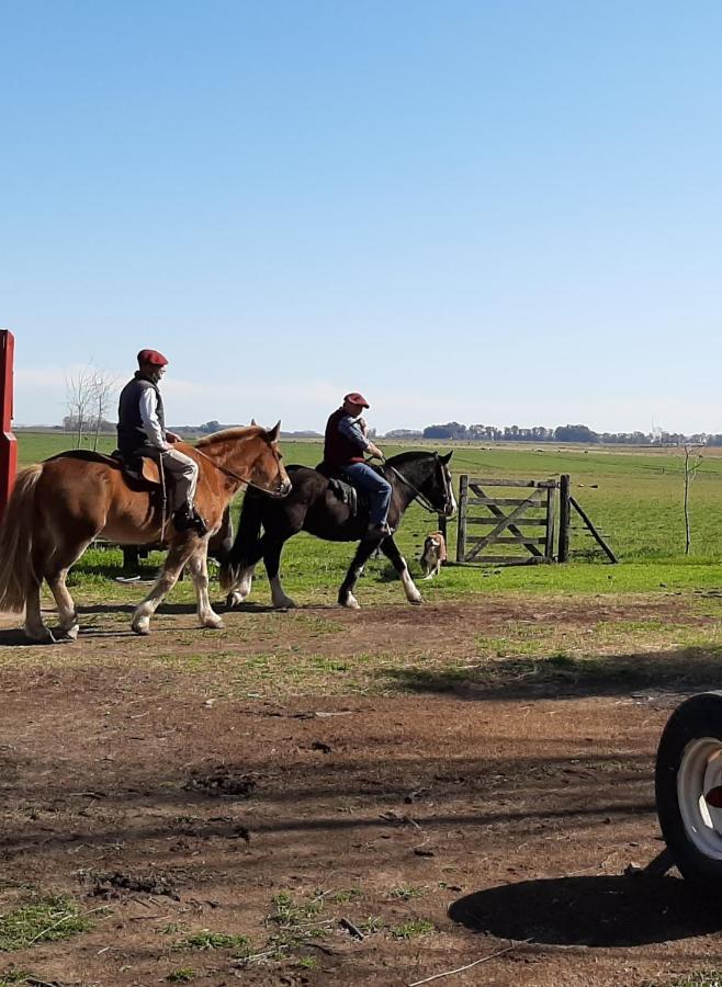 Cabana Rural El Encuentro San Antonio de Areco Eksteriør billede