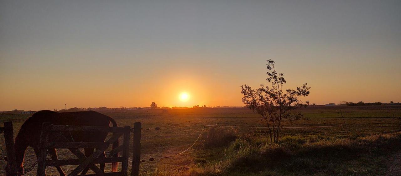 Cabana Rural El Encuentro San Antonio de Areco Værelse billede