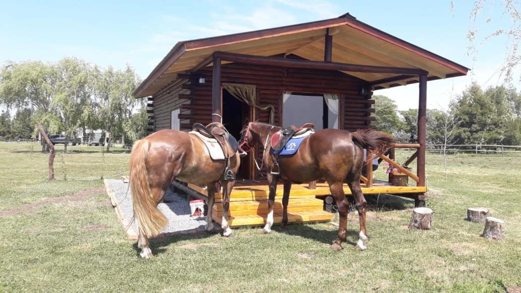 Cabana Rural El Encuentro San Antonio de Areco Eksteriør billede